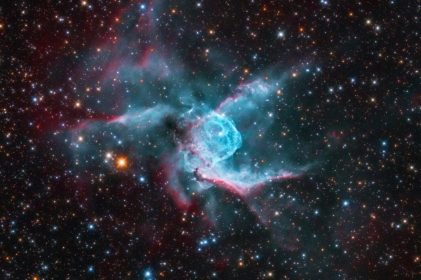 A Nyuszi-köd (NGC 2359)
