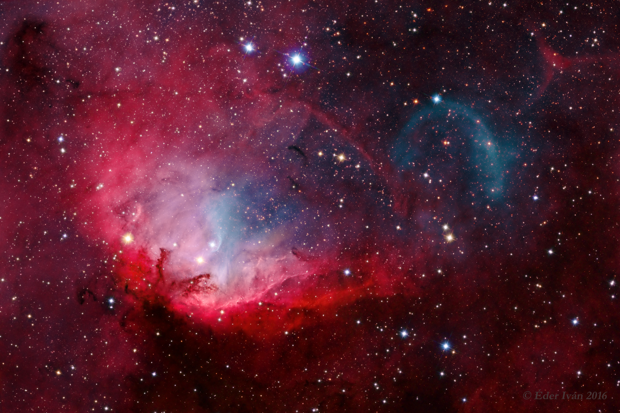 The Tulip and Cygnus X-1