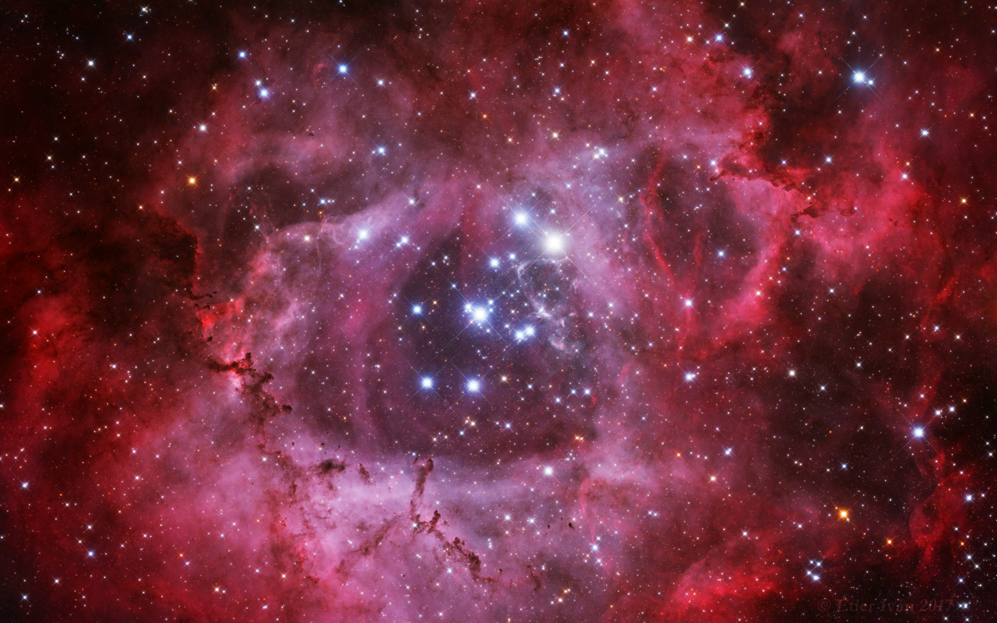 Rosette Nebula