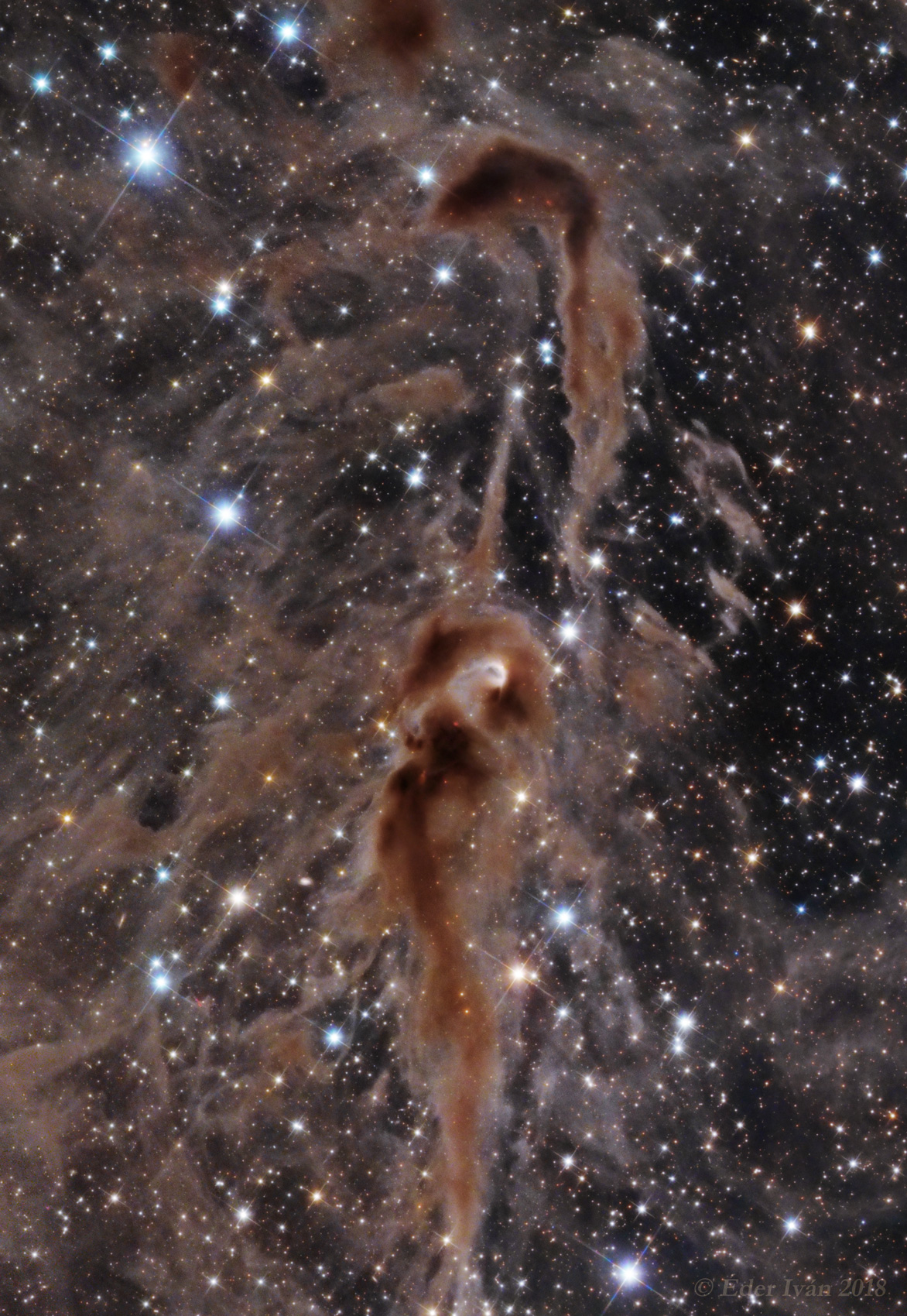 Seahorse Nebula