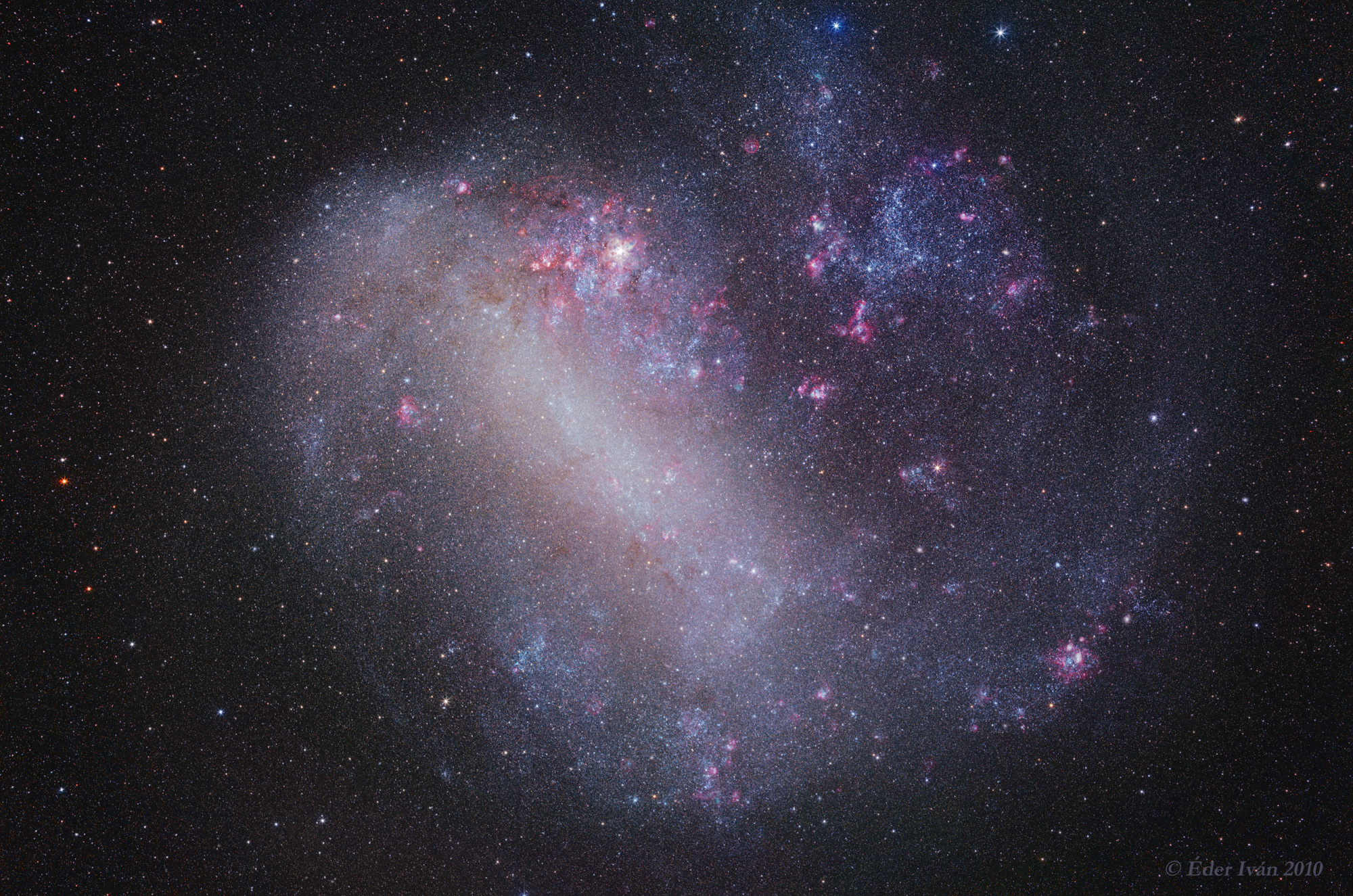 The Large Magellanic Cloud