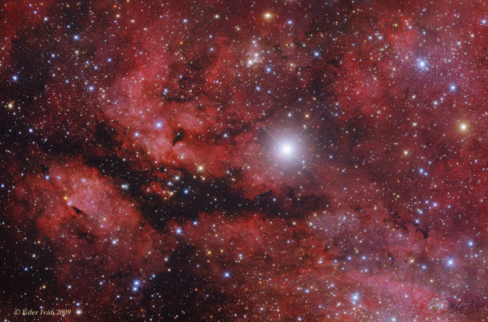 IC 1318 Emission Nebulae