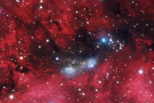 NGC 6914 bright Nebulae