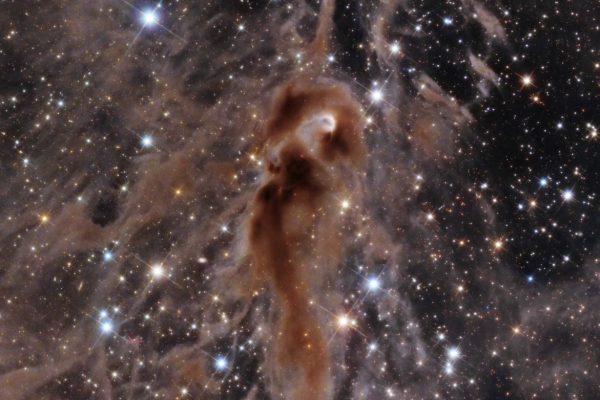 Seahorse Nebula