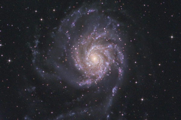 Pinwheel-Galaxy (M 101)