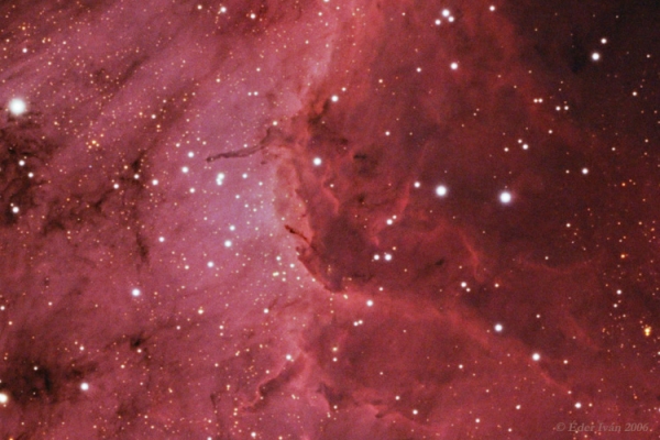 The Pelican Nebula (IC 5070)