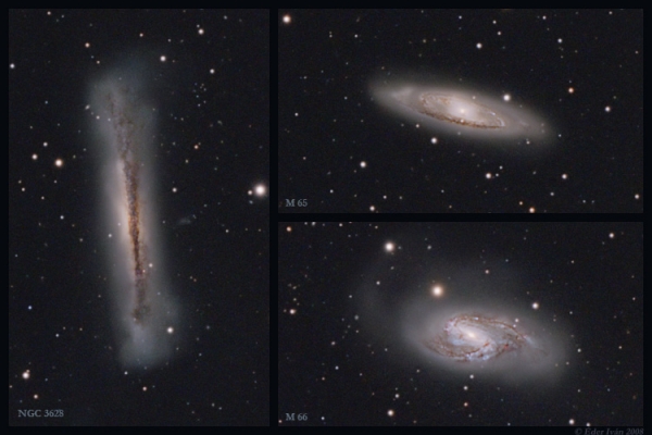 The "Leo Trio" Galaxy Group