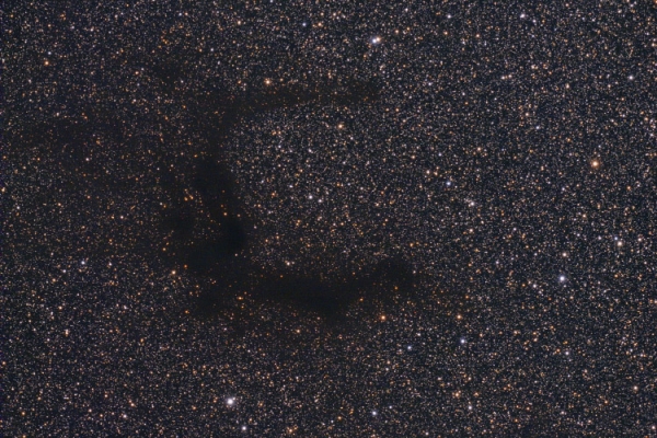 B142-143 dark nebulas