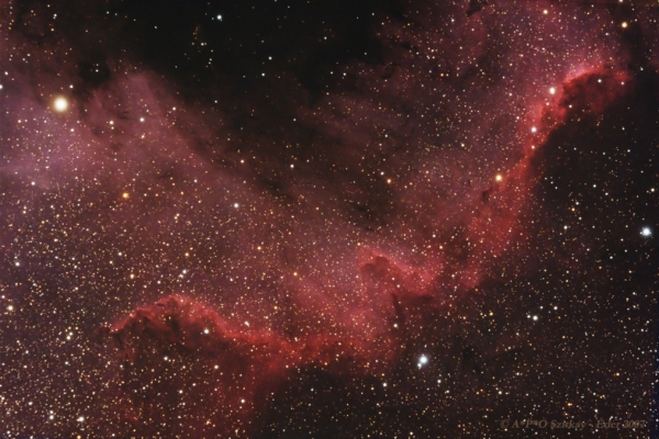 The part of North-America nebula