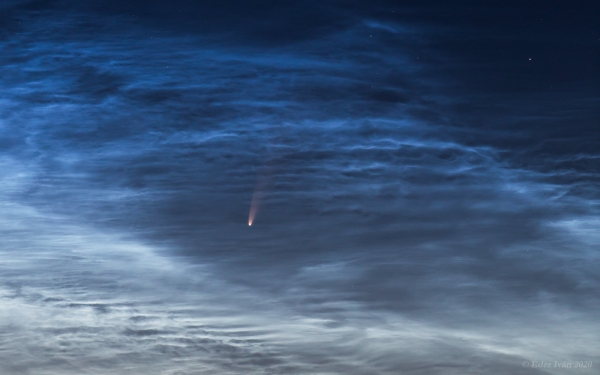 C/2020 F3 (NEOWISE) meets NLC